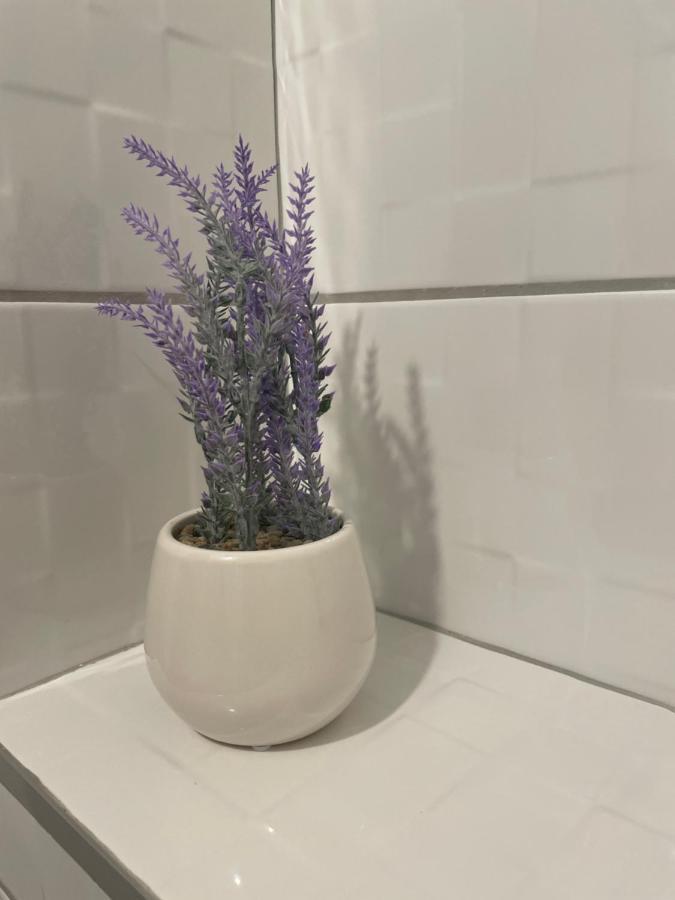 Drinka Parlament Center Apartment Белград Екстериор снимка